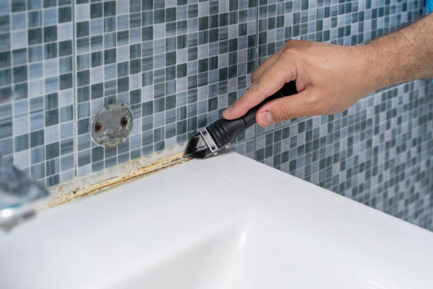 Best Black Mold Removal  in Queen Anne, MD