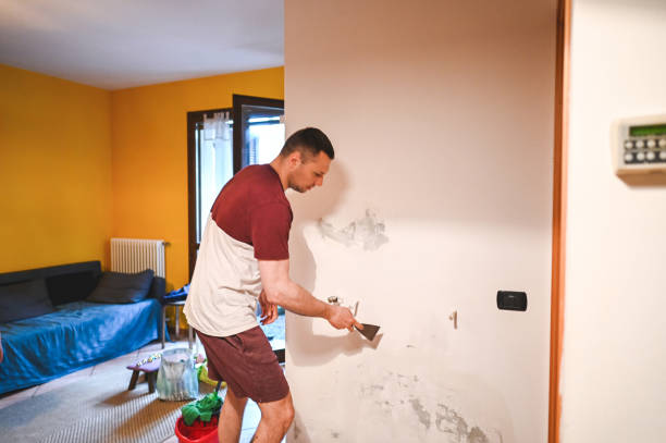 Best Mold Testing  in Queen Anne, MD