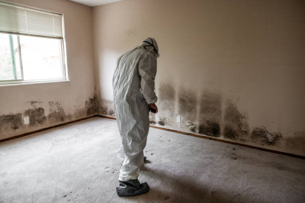 Best Mold Testing  in Queen Anne, MD