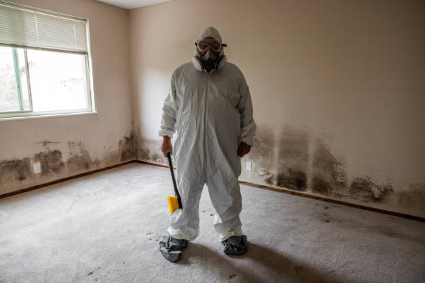 Best Mold Remediation  in Queen Anne, MD